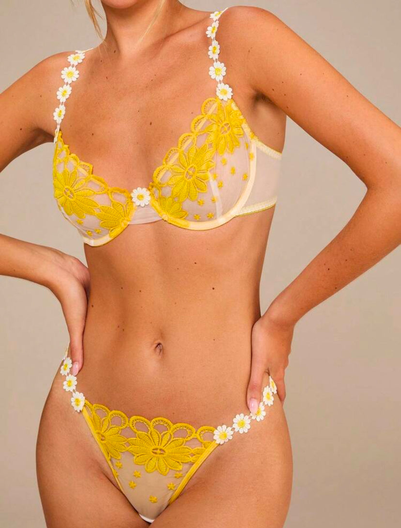 Conjunto de lencería para mujer con 2 piezas de encaje bordado